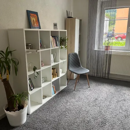 Zcela Zarizeny Byt Ve Vrbne Pod Pradedem, Fully Furnished Flat In Lejlighed