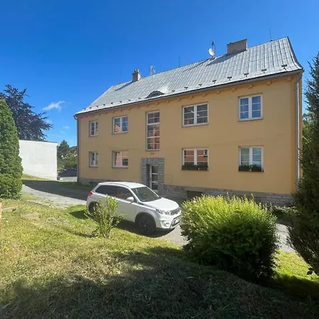 Zcela Zarizeny Byt Ve Vrbne Pod Pradedem, Fully Furnished Flat In Lejlighed *