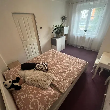 Lejlighed Zcela Zarizeny Byt Ve Vrbne Pod Pradedem, Fully Furnished Flat In *