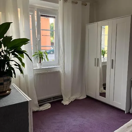 Zcela Zarizeny Byt Ve Vrbne Pod Pradedem, Fully Furnished Flat In